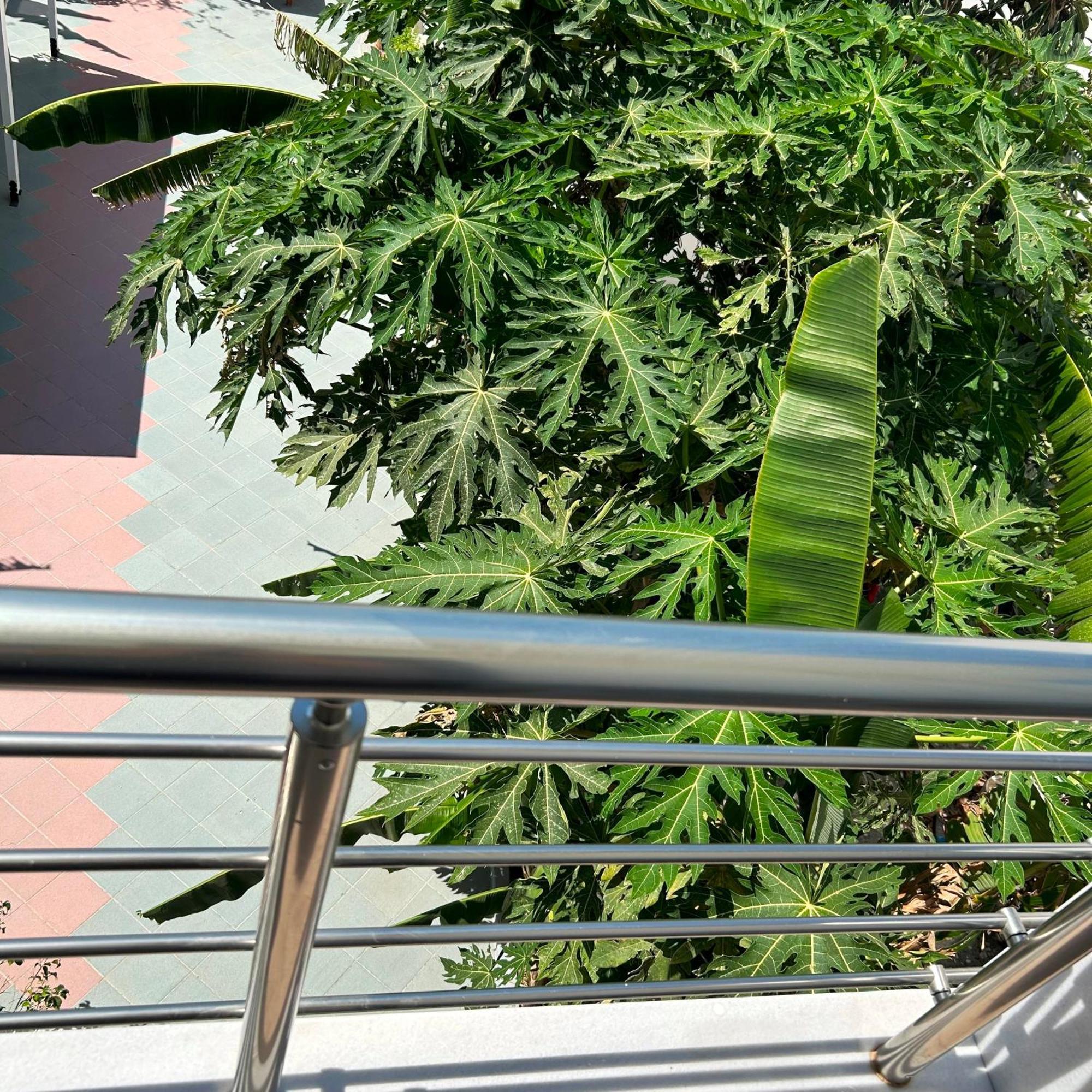 Sea Breeze Hotel Mastichari  Exterior photo
