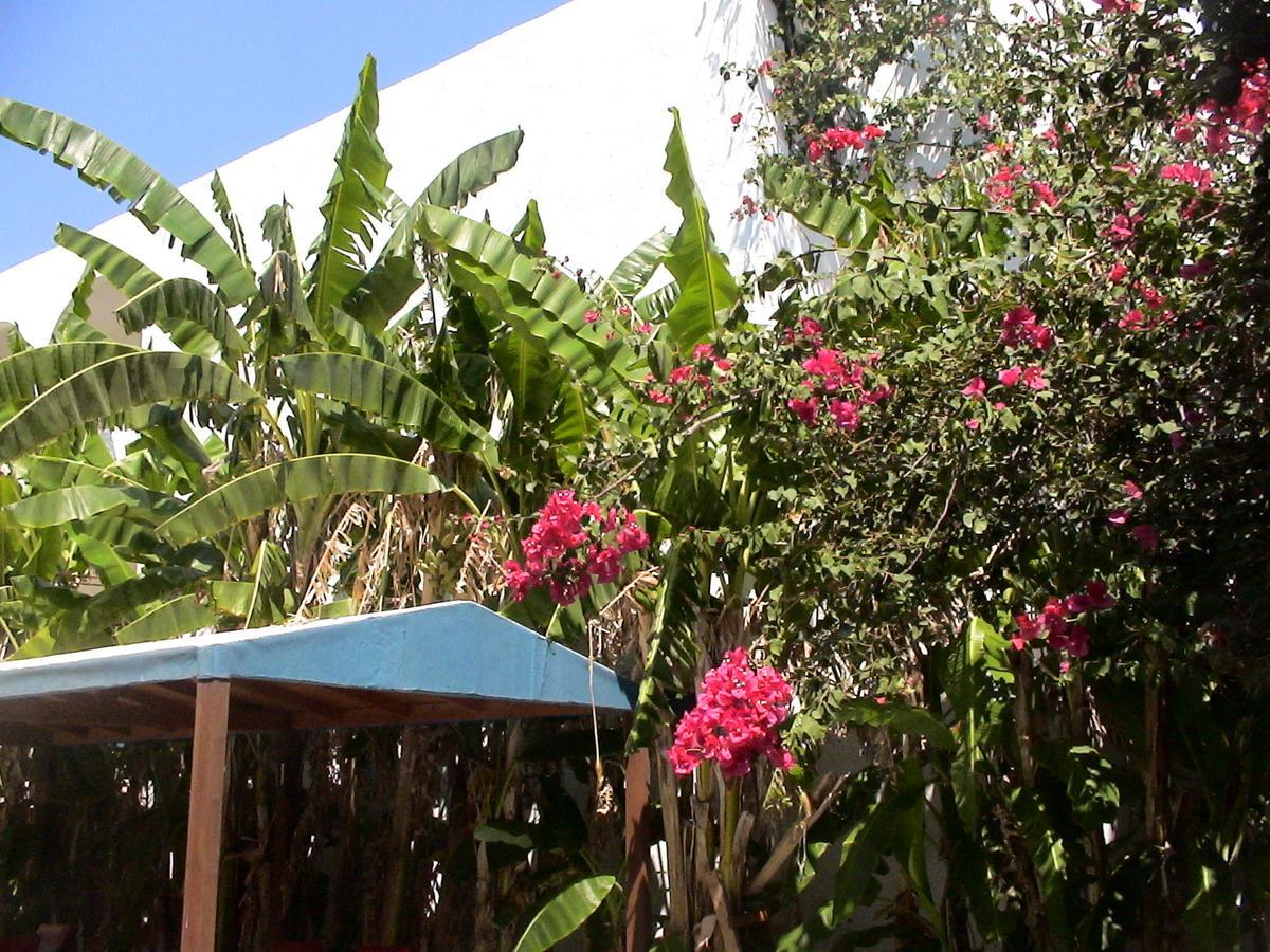 Sea Breeze Hotel Mastichari  Exterior photo